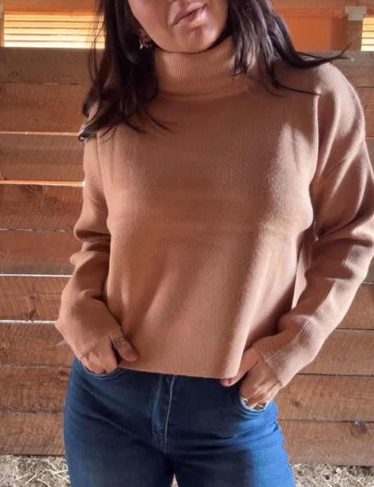 Butterscotch Turtle Neck|76